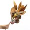 Sullivan's Christmas Mixed Magnolia Leaf Pick, Brown Faux Floral Stem for Crafting, Weddings, Home and Holiday Decoration, 24 Inch